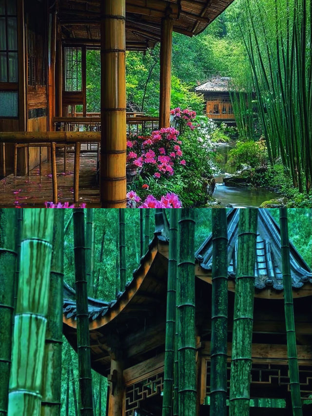 一竹一世界，一步一風景｜蜀南竹海的禪意慢旅行