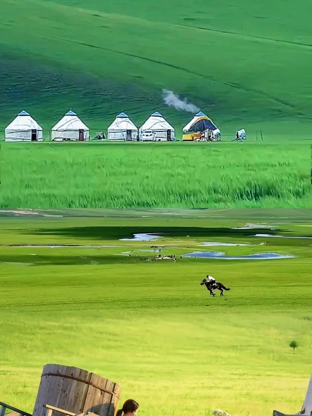 呼倫貝爾：風吹草低，赴一場草原浪漫之約