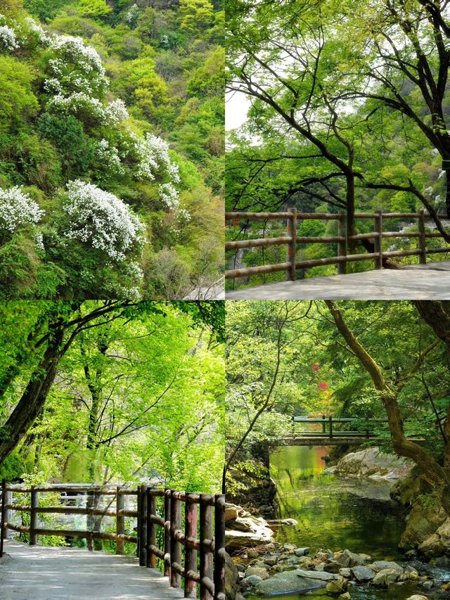 西安周邊1.5H逃離城市去溪谷山林吸氧徒步