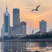 Seagulls and Sunset at Zhanqiao Pier 🧡 