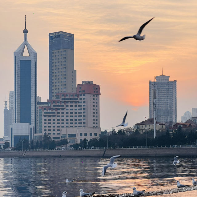 Seagulls and Sunset at Zhanqiao Pier 🧡 
