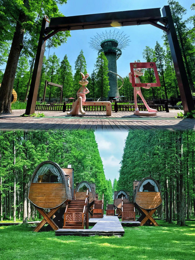 喺鹽城開啟一場野性之旅嘅至強自駕攻略