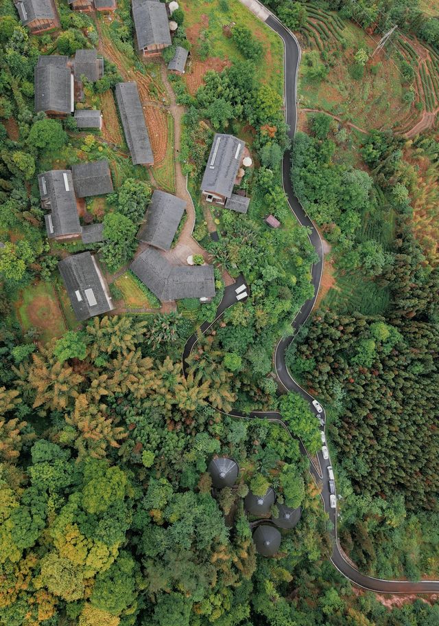 雲端仙居卡莎莎 | 隱於雲海，棲於山靈