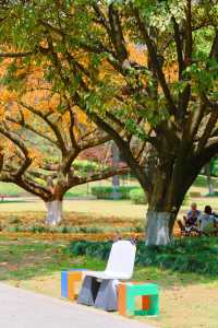 成都寶藏公園！湊仔吸氧兩不誤！