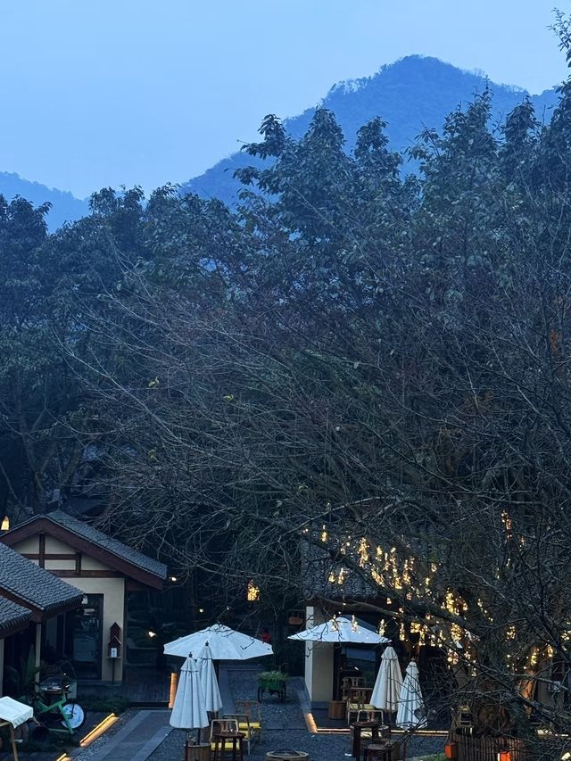 成都青城山六善民宿