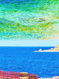 《養馬島：邂逅浪漫，擁抱詩意的海島時光》 