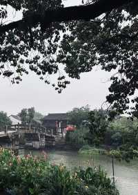 嘉興雨日手記 | 在江南的毛細血管裡聽一場靈魂SPA