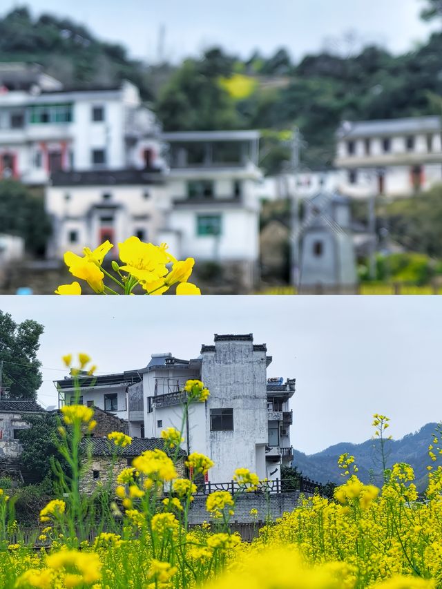 黄山腳下嘅水墨畫——江山水畫廊