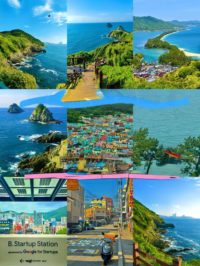 我放棄濟州島了，因為呢度……
