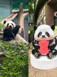 梅雨季同暑假都啱玩嘅溫州大熊貓館親子遊攻略