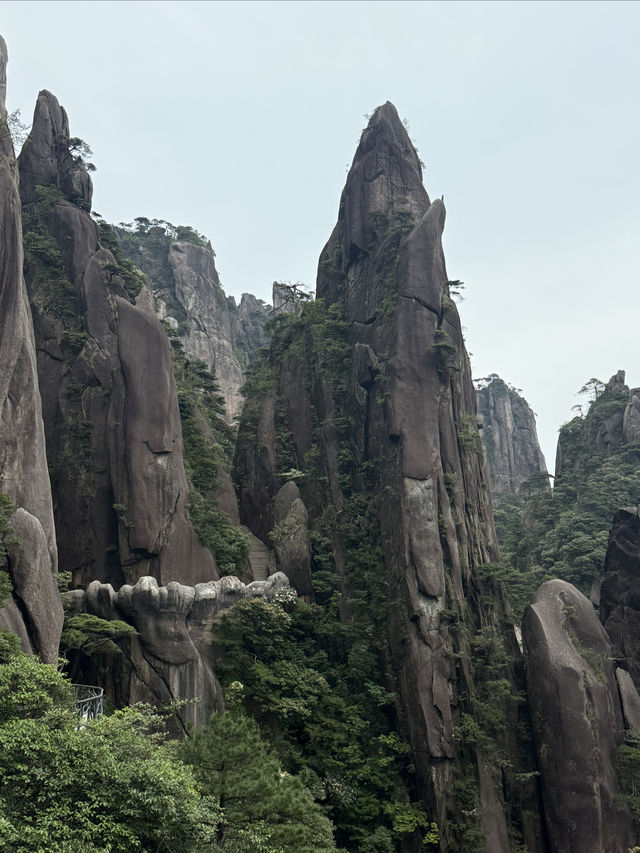 上饒三清山｜住進三清宮畔的秘境聖地之中
