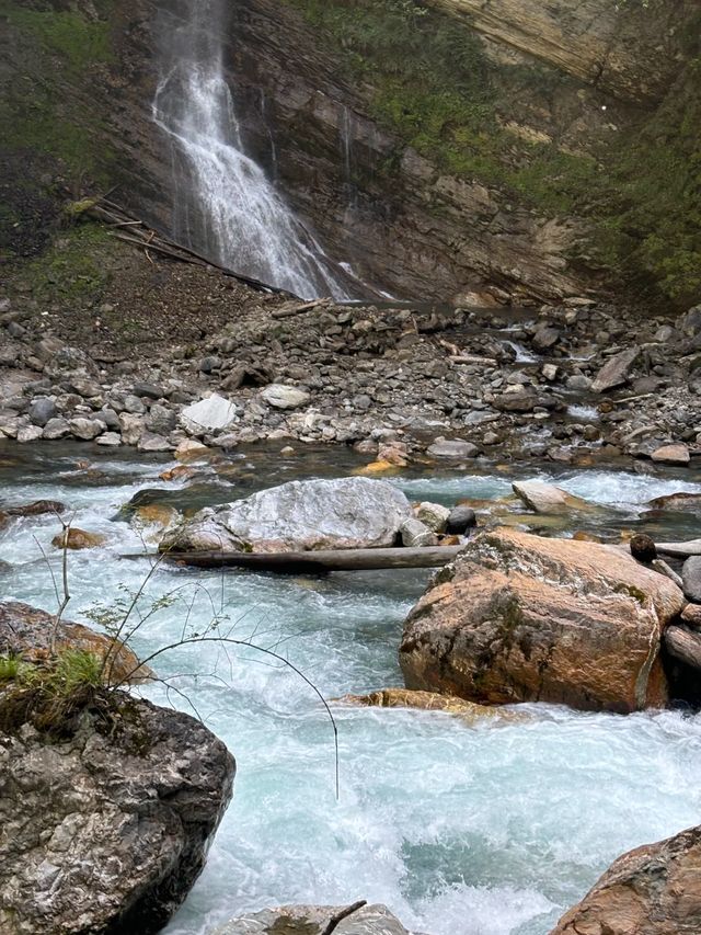 二郎山喇叭河餵鹿睇猴行山攻略，差啲俾馬騮襲擊！