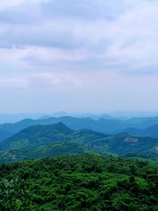 尋找白楊梅嘅鄉村路線，好CHILL