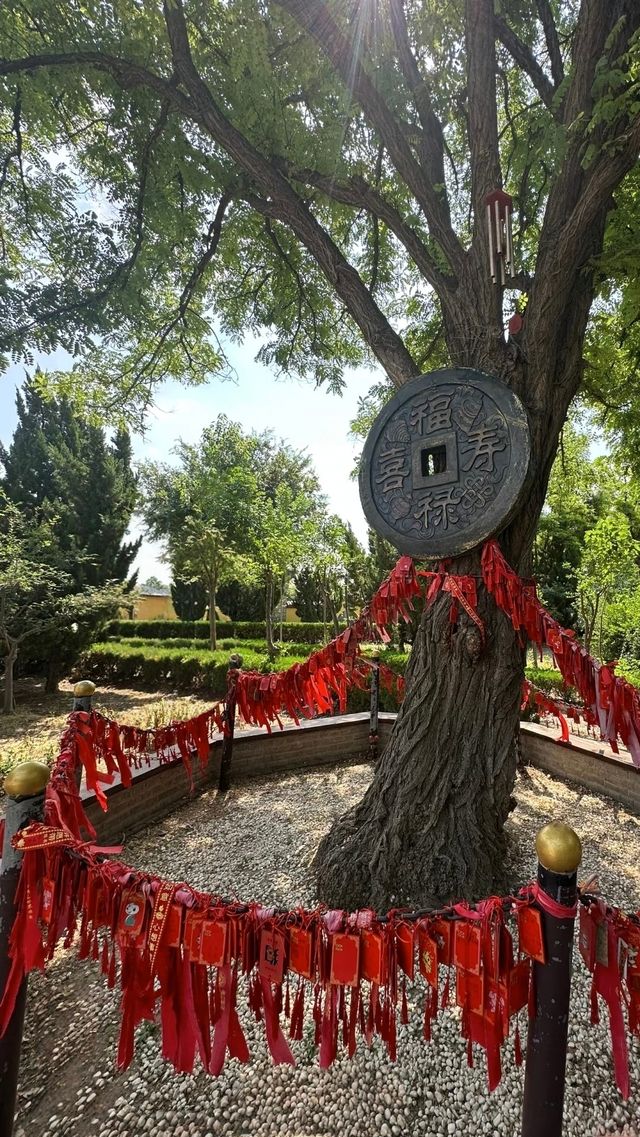 無棣大覺寺，清靜有底蘊，散心好去處