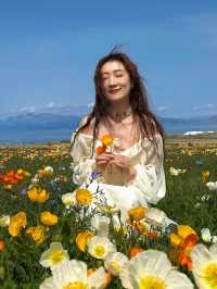 跌入金色夢境，收藏盛夏嘅溫柔絮語