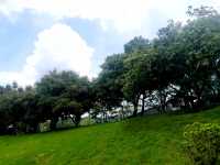 隱藏於白雲山麓嘅翡翠秘境