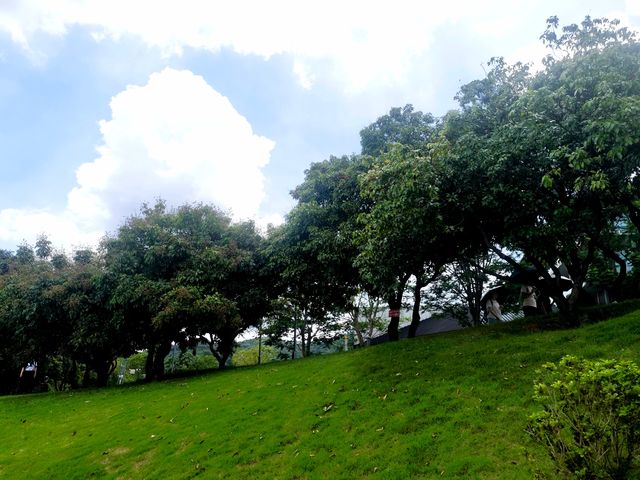 隱藏於白雲山麓嘅翡翠秘境