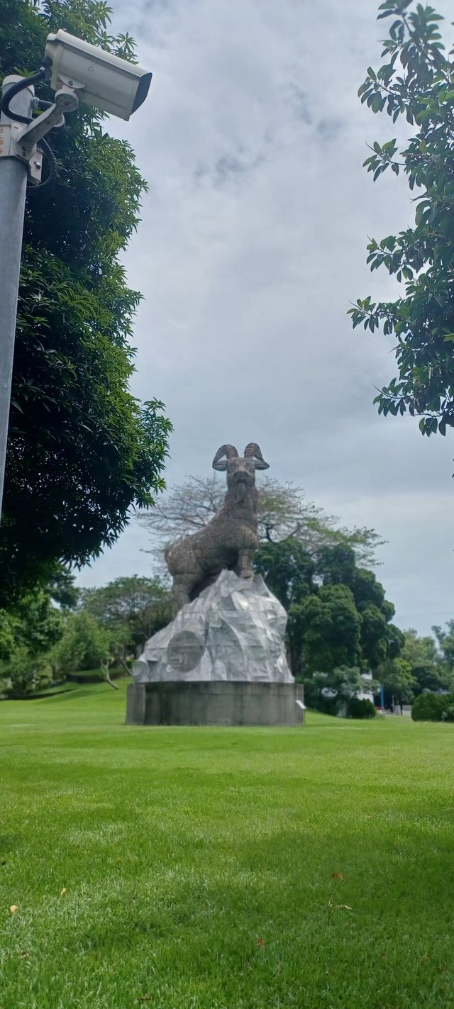 台中公園見到玉山峰頂