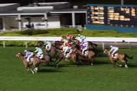 Summer Racing Kicks Off: Experience Hong Kong's Horse Racing Culture
