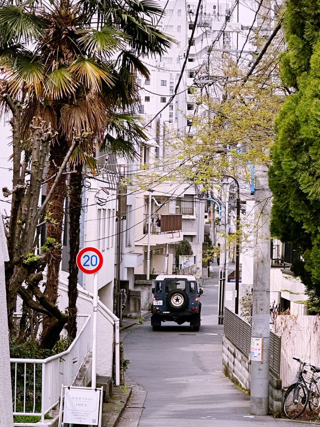 神楽坂の魅力を満喫！江戸情緒とモダンが融合した街歩き】**  
