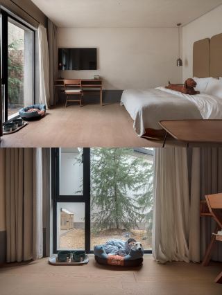 The Ultimate Secret of Qinling Mountains! Yongguichuan Oxygen Retreat Guide is Here~