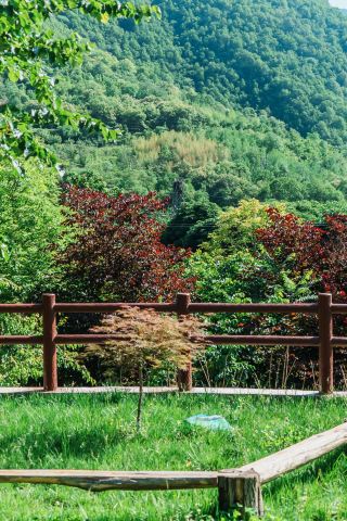 It's not that Xinjiang isn't worth visiting, but the Qinling Mountains offer better value for money