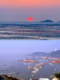 解鎖上海周邊枸杞島，玩水避暑全攻略！