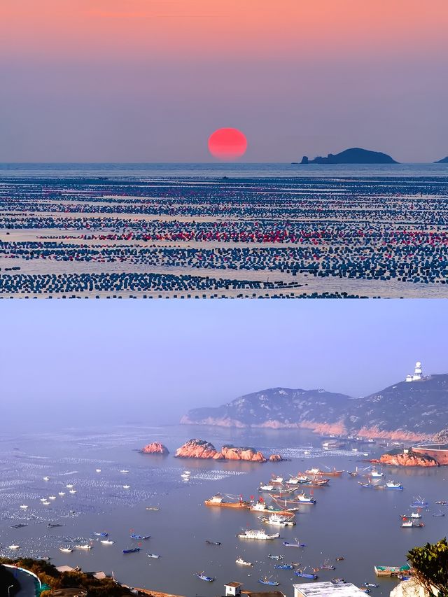 解鎖上海周邊枸杞島，玩水避暑全攻略！