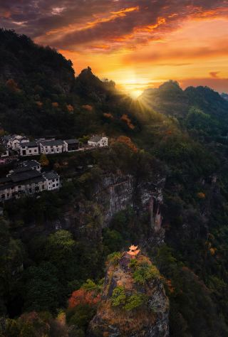 唔使去到巴厘島，車程2小時就可以住進避暑森林樹屋