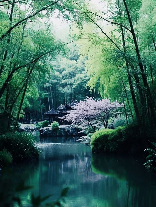 逃離煩囂，享受寧靜。
