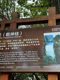 ✨ Trip Moment: Zhangjiajie ✨