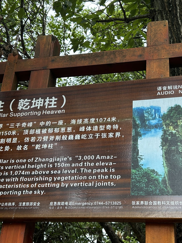 ✨ Trip Moment: Zhangjiajie ✨