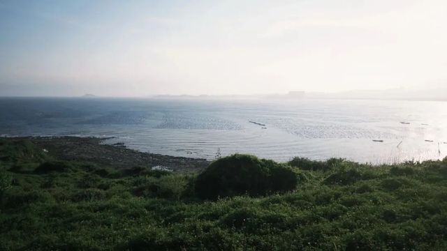 邂逅鎮海角，赴一場燈塔與草場的夏日之約