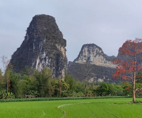 明仕田園：中越邊境的喀斯特桃源，山水入畫的隱世仙境