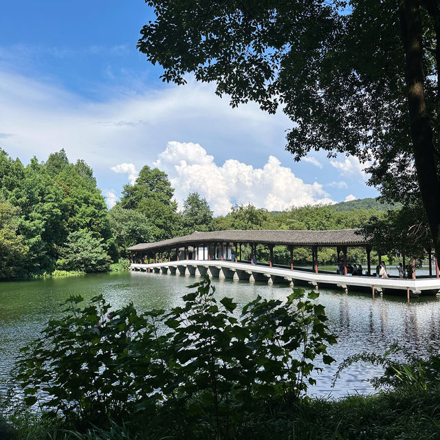 浴鵠灣的夏天，綠到不需要濾鏡