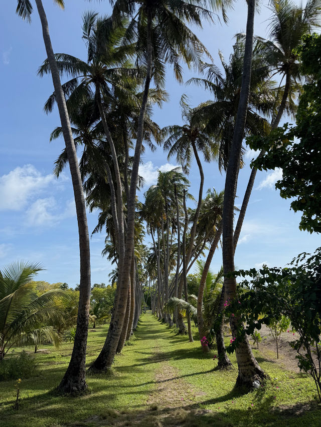 A Memorable and Peaceful Island Retreat