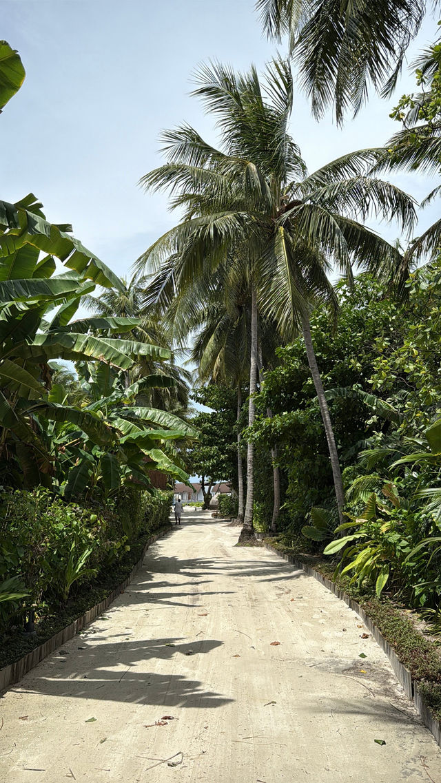An Unforgettable Family Trip at The Westin Maldives