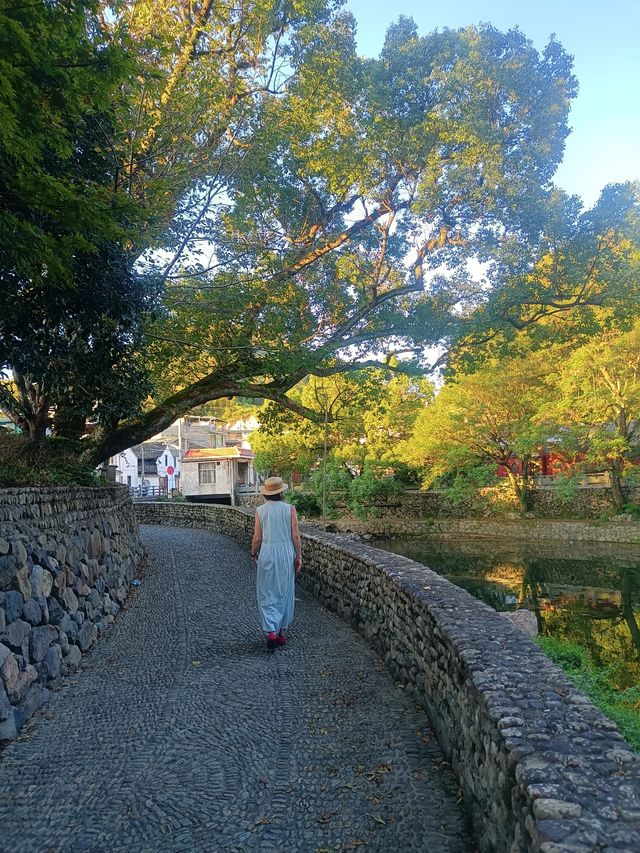 寧海～天台※六日遊