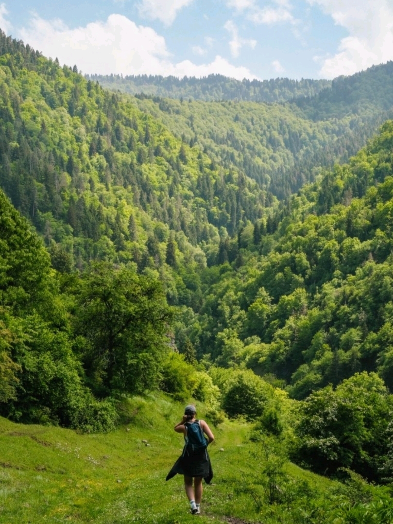 ✨Borjomi: Mineral Springs & Mountain Magic 💧🌲