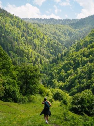 ✨Borjomi: Mineral Springs & Mountain Magic 💧🌲