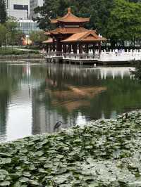 Lychee Park Shenzhen