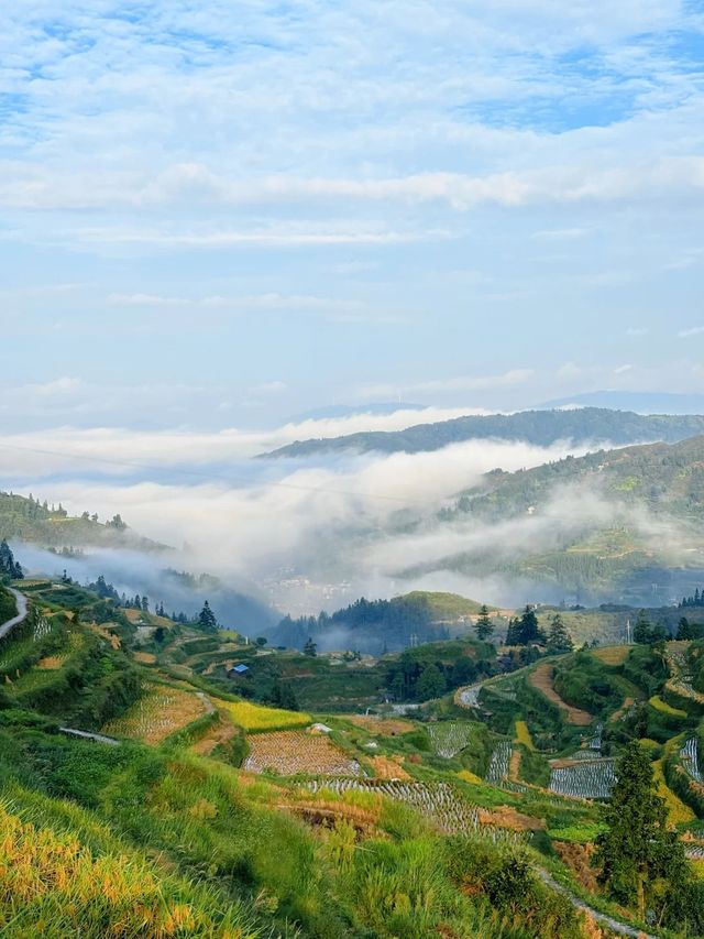 山中的避世秘境