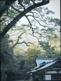和歌山4天3夜漫遊指南|山海古寺的靜謐之旅