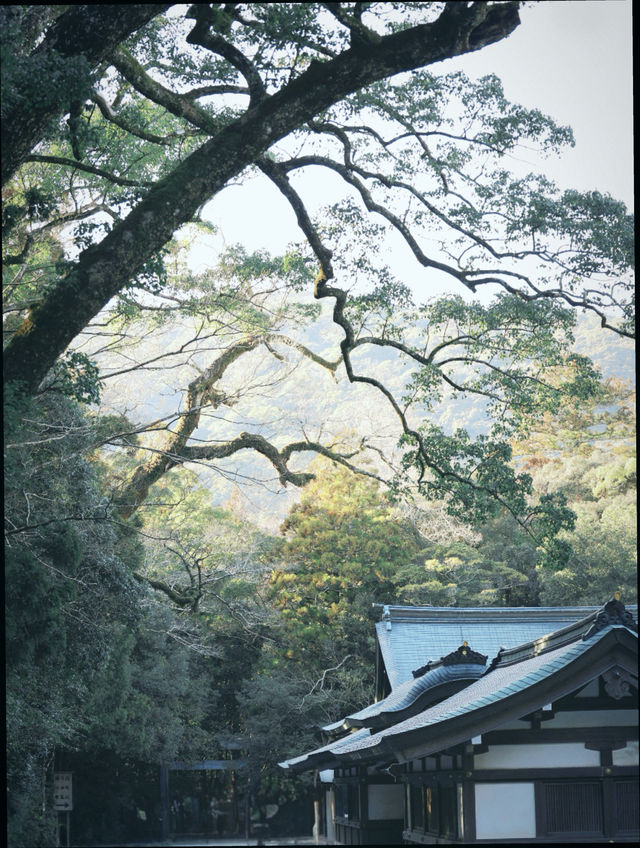 和歌山4天3夜漫遊指南|山海古寺的靜謐之旅 和歌山4天3夜漫遊指南|山海古寺的靜謐之旅