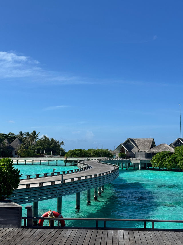 Ideal Honeymoon Destination: Milaidhoo Maldives