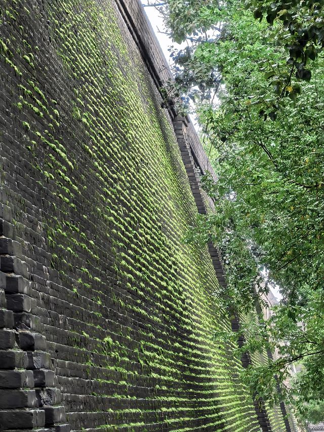 秋雨染苔，古城牆的秋日情書
