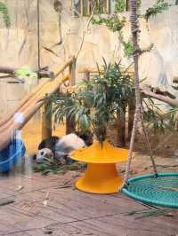 西麗動物園超詳細攻略
