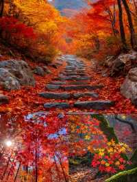 光霧山紅葉季｜中國紅葉第①山，私藏絕美賞秋秘境