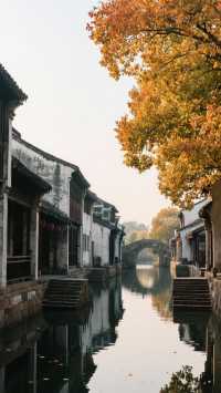 帶上家人來十月的浙江，玩出詩意江南，四天三晚旅行攻略