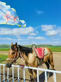 2天1夜壩上草原親子遊！省心省錢超全攻略